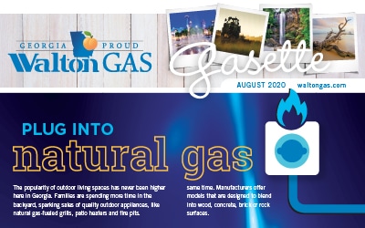 plug into natural gas blue flames