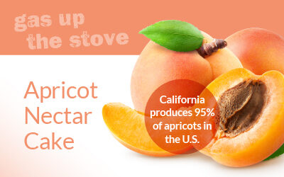Apricot Nectar Cake