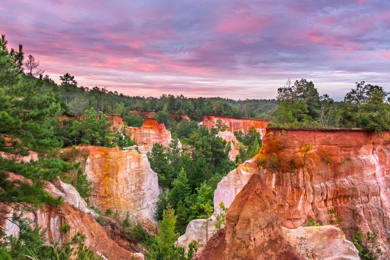 Providence Canyon near Lumpling is known as Georgia's "Little Grand Canyon". 