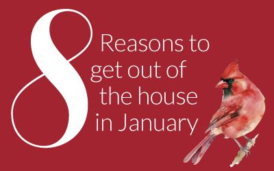 Fun and free in JanuaryGreat reasons to get out of the house this month